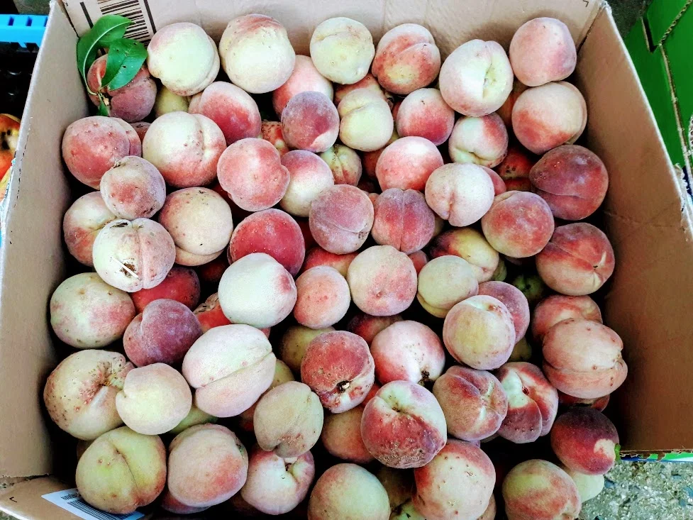 Rezept: Obst für den Winter einkochen zur kochbar Challenge September 2020 Bild Nr. 3 Obst für den Winter einkochen zur kochbar Challenge September 2020 - Rezept - Bild Nr. 3