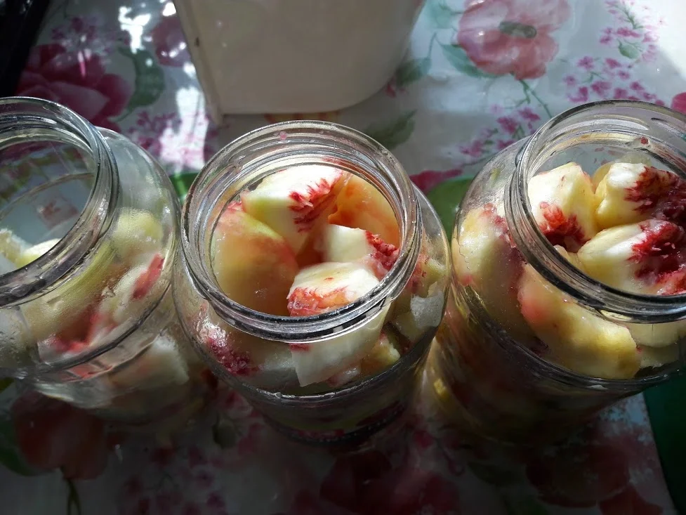 Rezept: Obst für den Winter einkochen zur kochbar Challenge September 2020 Bild Nr. 11300 Obst für den Winter einkochen zur kochbar Challenge September 2020 - Rezept - Bild Nr. 11300