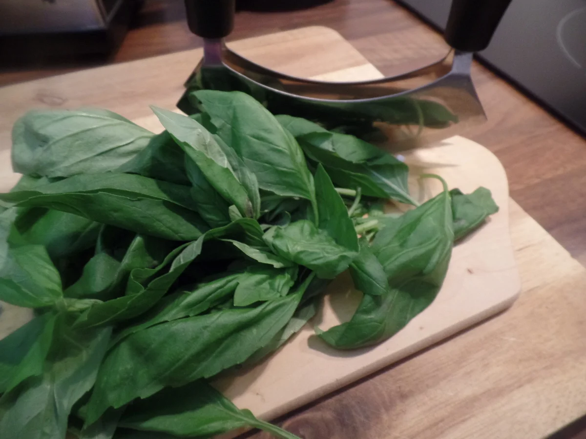 Quattro-Formaggi-Pizza - Rezept - Bild Nr. 11315