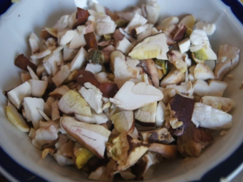 Rezept: Steinpilzpasta mit Hörnchen Nudeln Bild Nr. 7 Steinpilzpasta mit Hörnchen Nudeln - Rezept - Bild Nr. 7