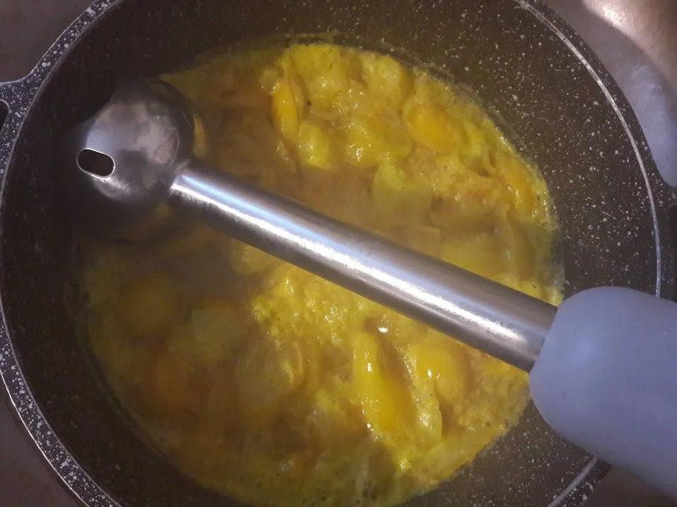 Gelbes Tomatensüppchen mit frittiertem Basilikum - Rezept - Bild Nr. 11