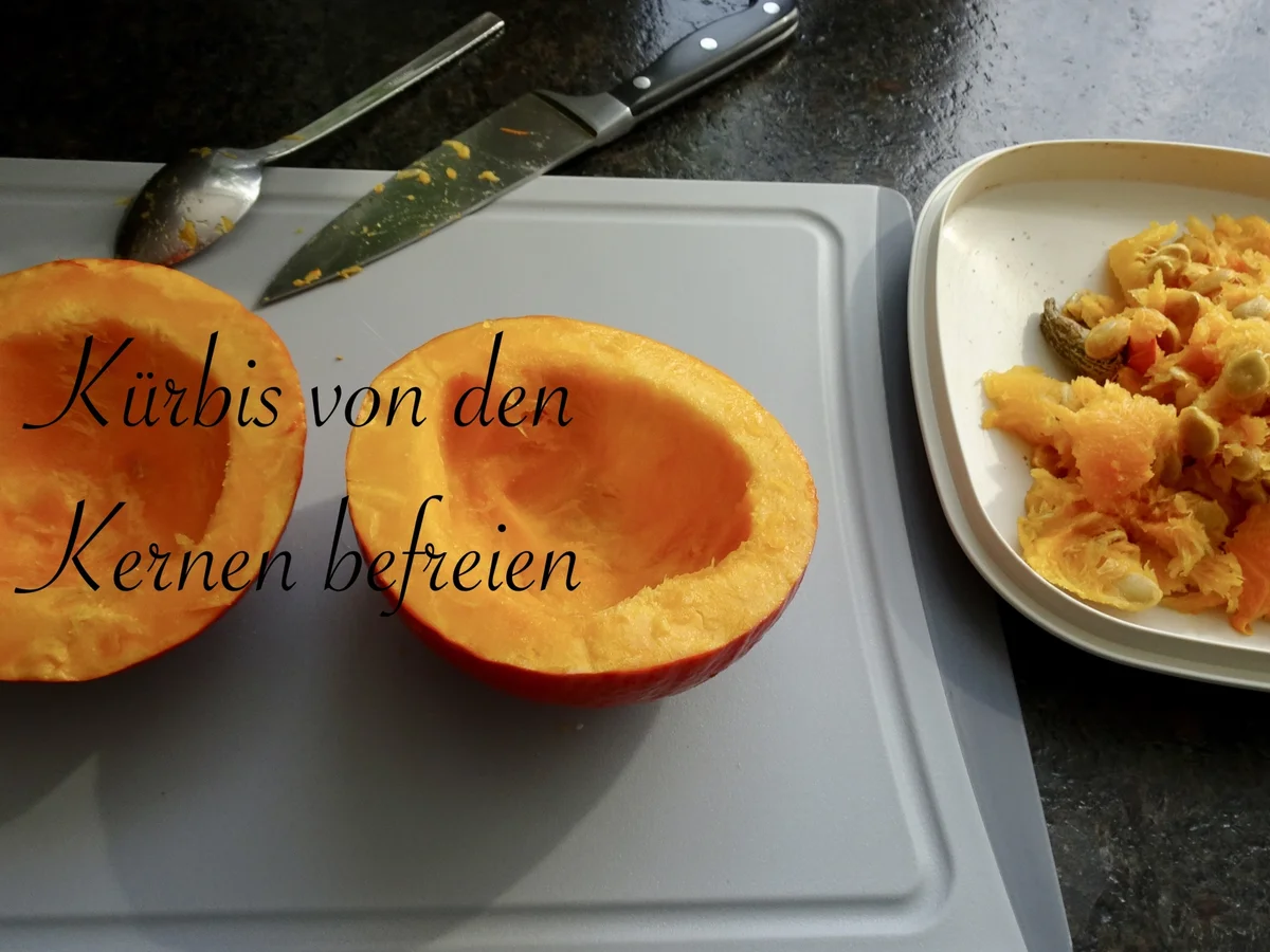 Rezept: Pappardelle in cremiger Kürbissauce mit zartem Käsetouch Bild Nr. 3 Pappardelle in cremiger Kürbissauce mit zartem Käsetouch - Rezept - Bild Nr. 3