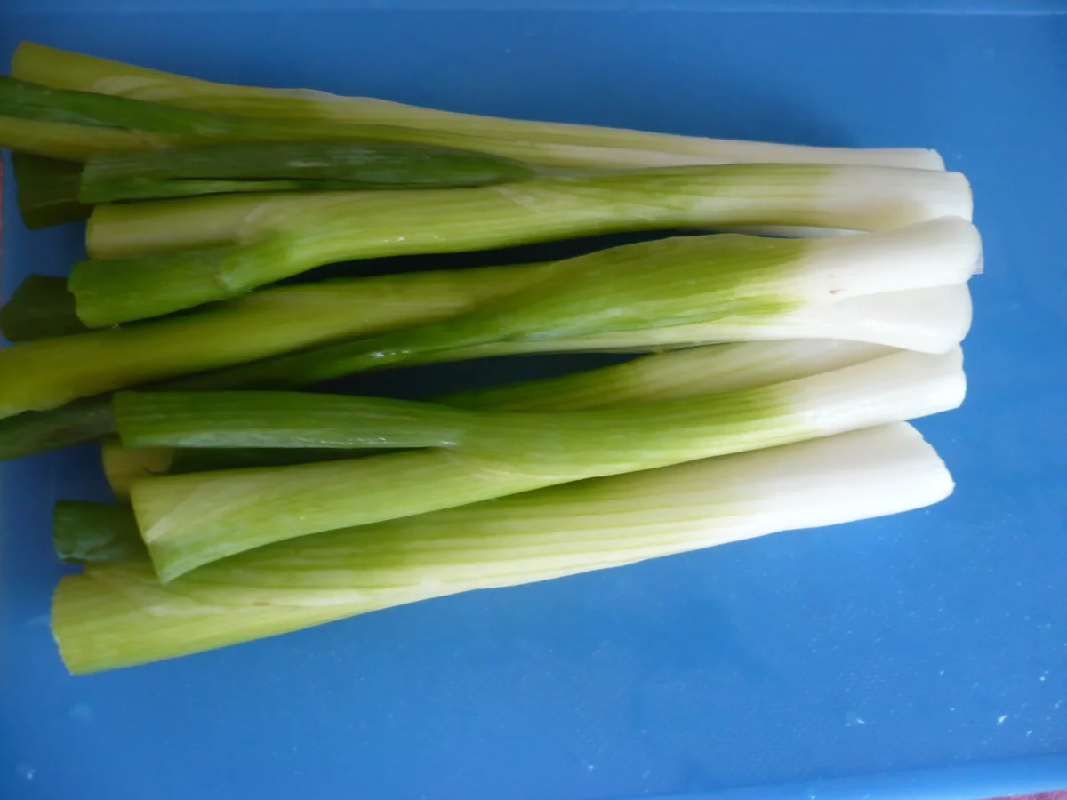 Rezept: Kürbis - Hähnchen - Curry Bild Nr. 9 Kürbis - Hähnchen - Curry - Rezept - Bild Nr. 9