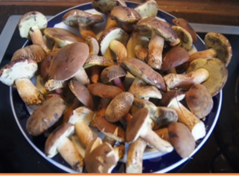 Waldpilz-Omelett - Rezept - Bild Nr. 3