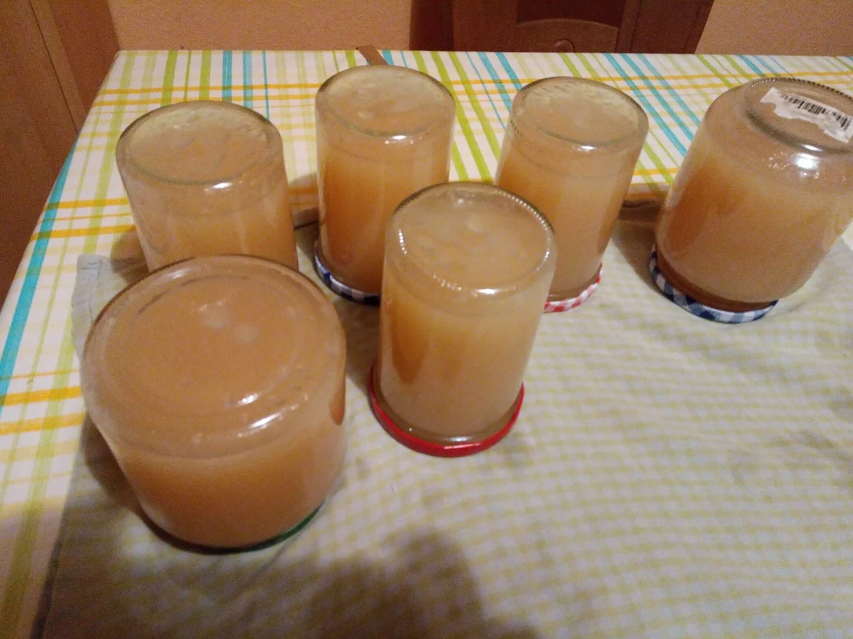 Apfelmus (von unseren Apfelbäumen aus unserem Garten)>Kochbar Challenge 10.0 (Oktober 2020 - Rezept - Bild Nr. 11391