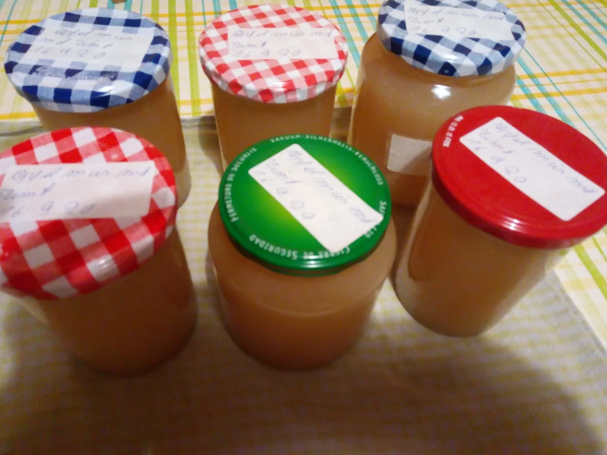 Apfelmus (von unseren Apfelbäumen aus unserem Garten)>Kochbar Challenge 10.0 (Oktober 2020 - Rezept - Bild Nr. 11392