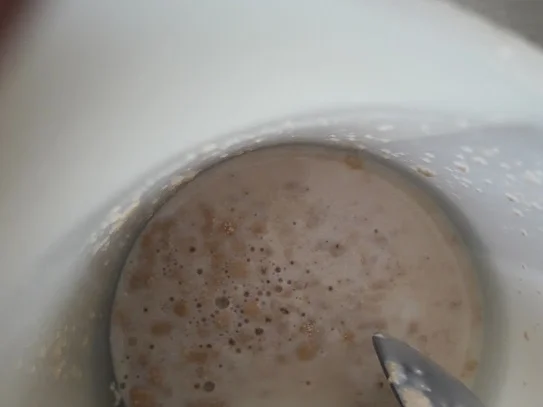 Apfel-Hefekuchen - Rezept - Bild Nr. 6