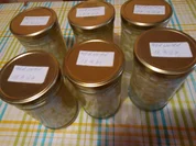 Apfelwürfel eingeweckt>kochbar Challenge10.0(Oktober2020) - Rezept - Bild Nr. 11378