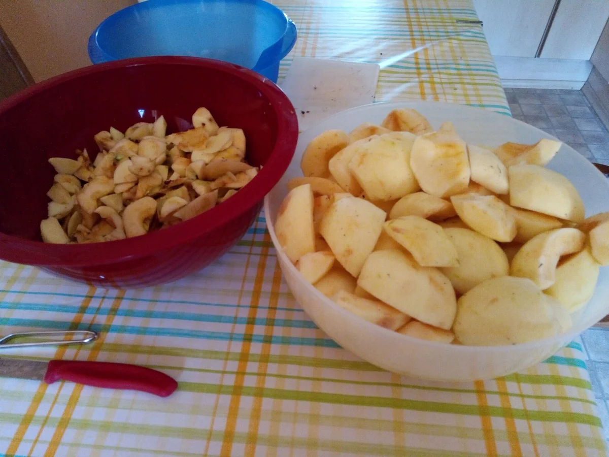 Apfelwürfel eingeweckt>kochbar Challenge10.0(Oktober2020) - Rezept - Bild Nr. 11379