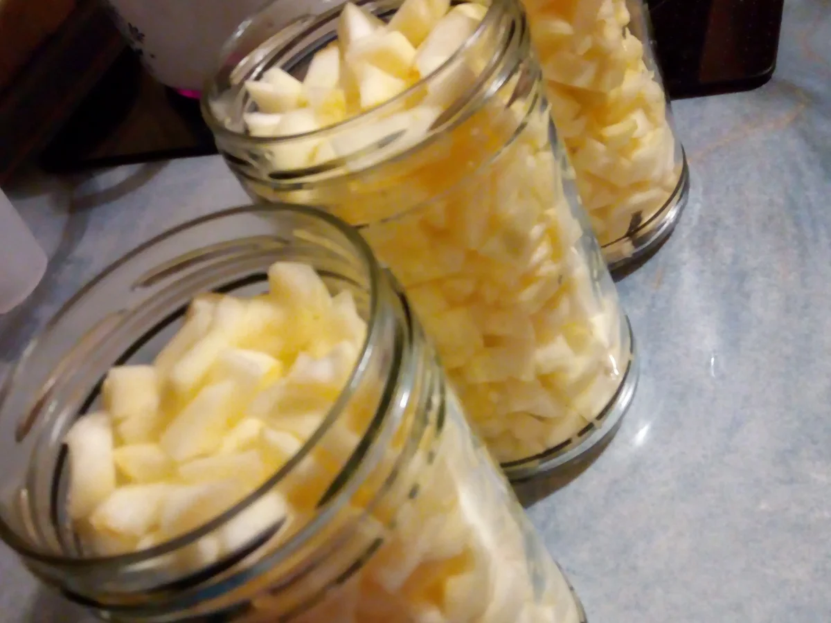 Apfelwürfel eingeweckt>kochbar Challenge10.0(Oktober2020) - Rezept - Bild Nr. 11388