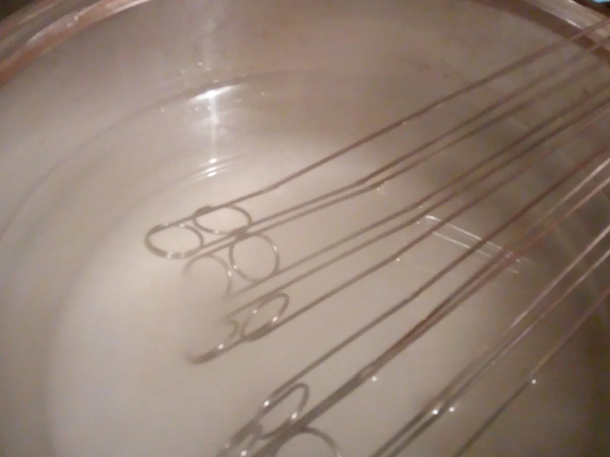 Apfelwürfel eingeweckt>kochbar Challenge10.0(Oktober2020) - Rezept - Bild Nr. 11390