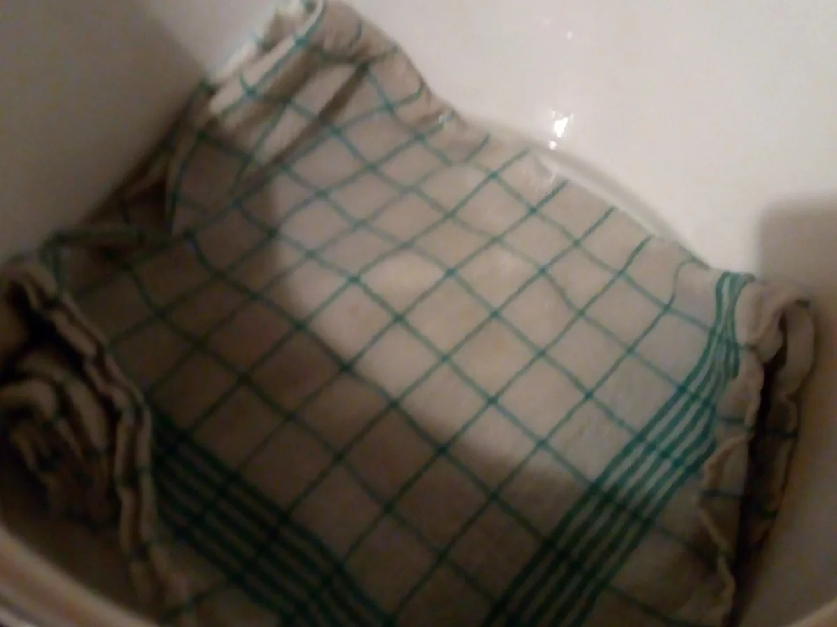 Apfelwürfel eingeweckt>kochbar Challenge10.0(Oktober2020) - Rezept - Bild Nr. 11393