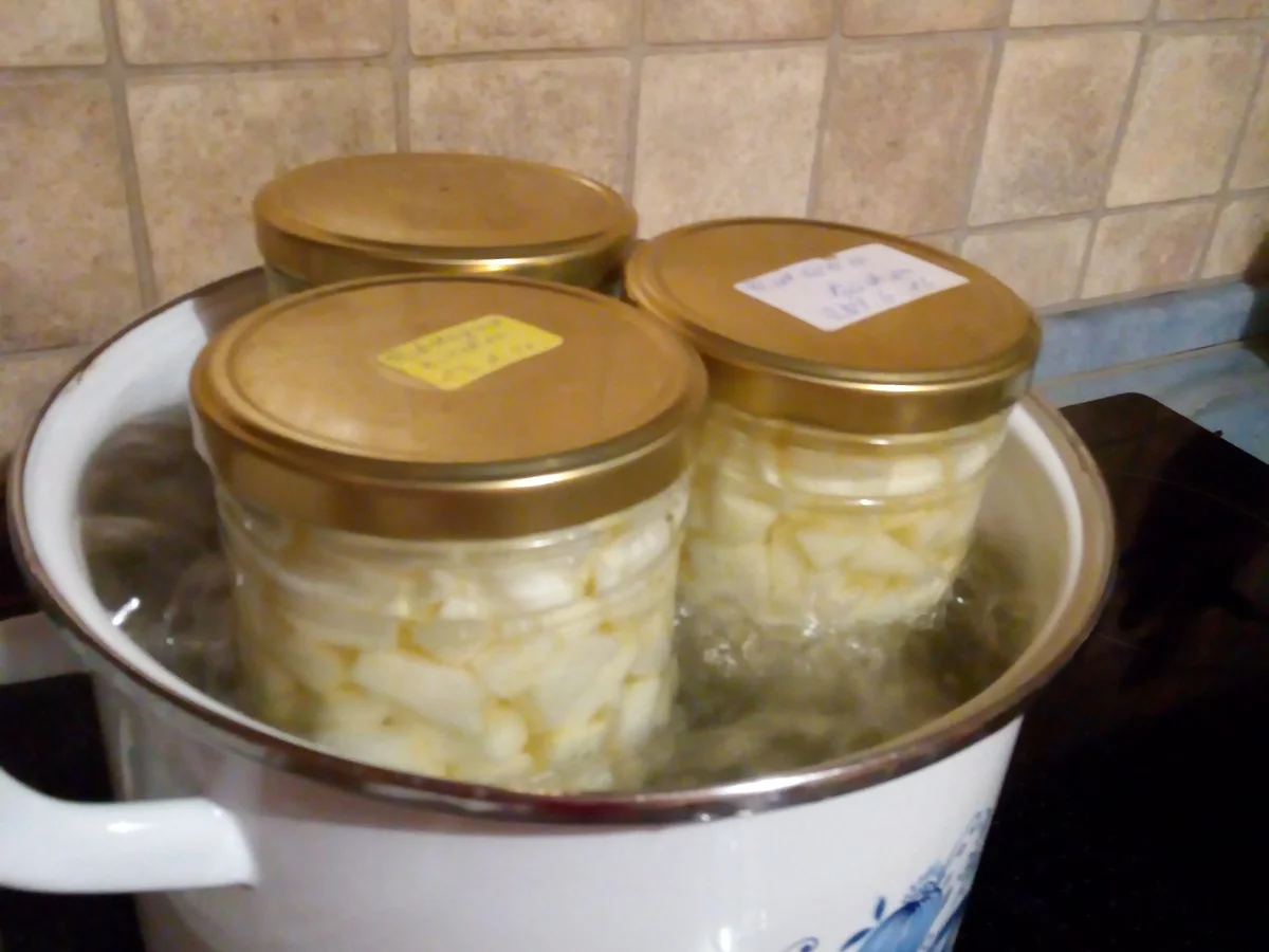 Apfelwürfel eingeweckt>kochbar Challenge10.0(Oktober2020) - Rezept - Bild Nr. 11394