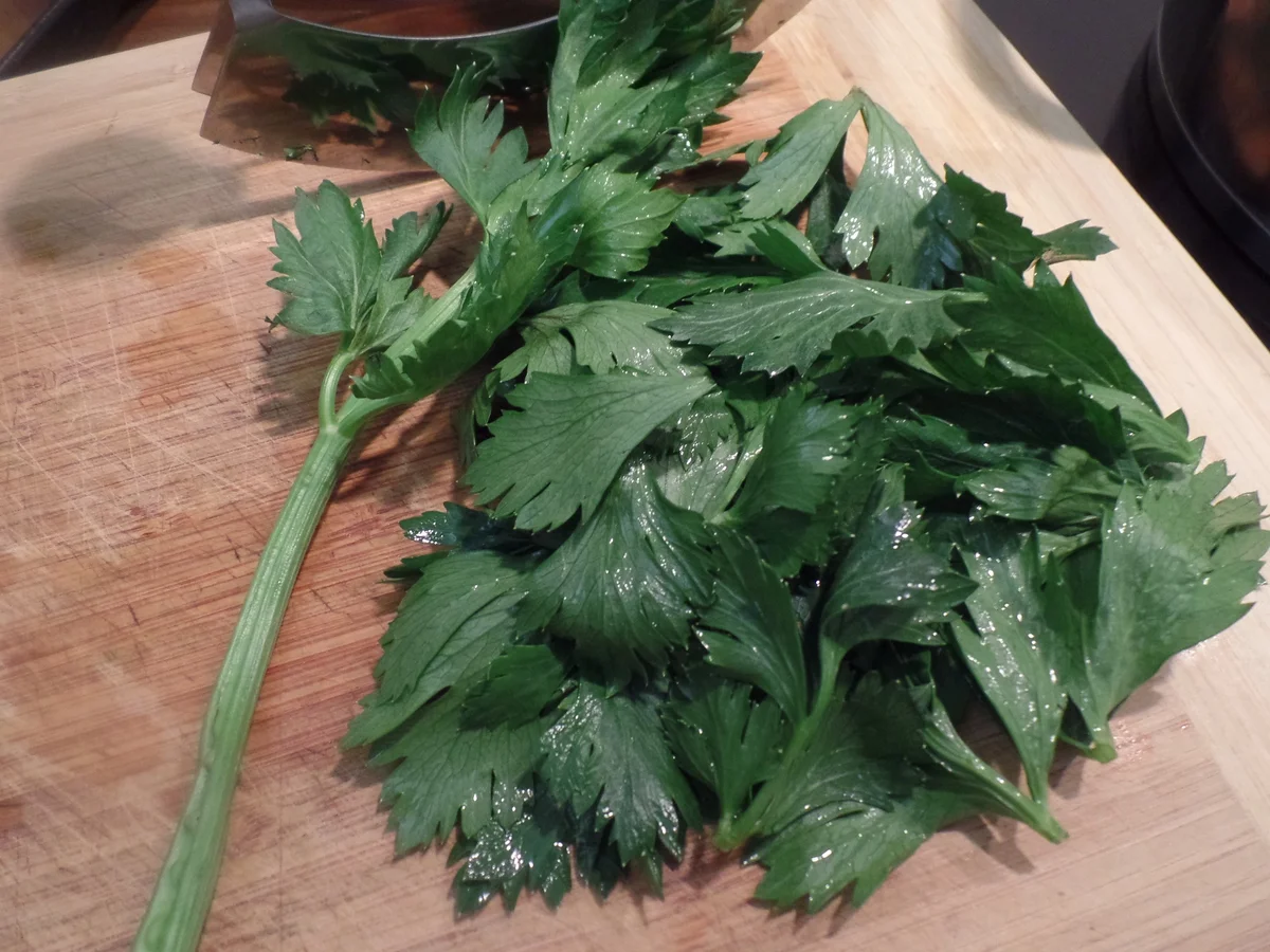 Selleriesuppe mit Birnen und Gorgonzola - Rezept - Bild Nr. 11395