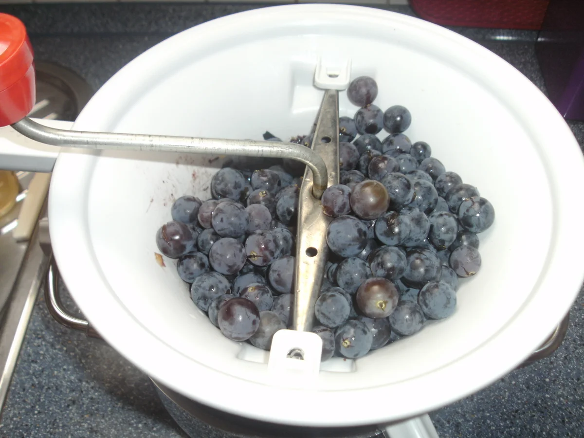 Rezept: Trauben - Feigenmarmelade Bild Nr. 3 Trauben - Feigenmarmelade - Rezept - Bild Nr. 3