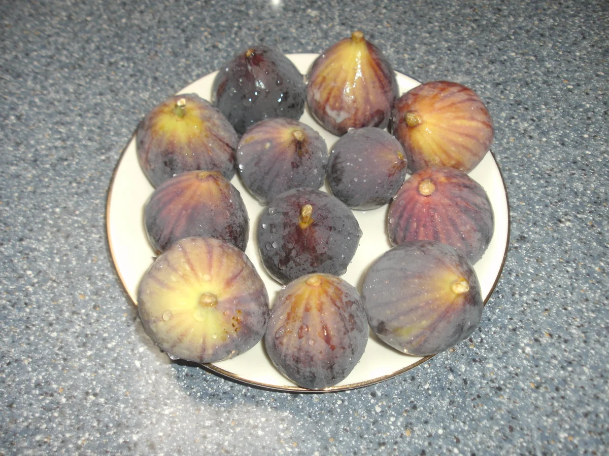 Rezept: Trauben - Feigenmarmelade Bild Nr. 5 Trauben - Feigenmarmelade - Rezept - Bild Nr. 5