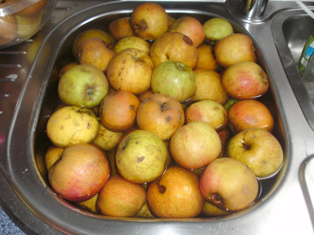 Äpfel trocken eingekocht - Rezept - Bild Nr. 3
