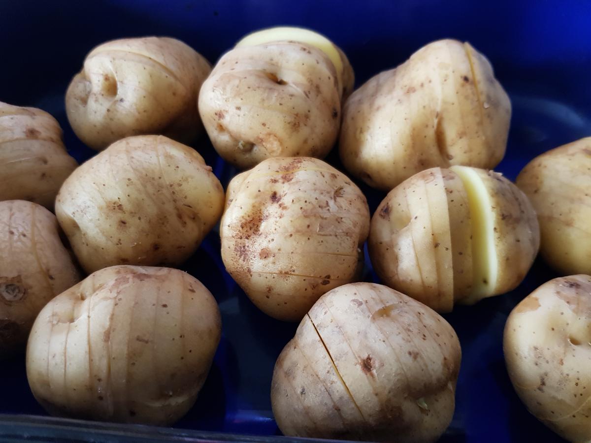 Hasselback-Kartoffeln mit Radieser'l-Salat - Rezept - Bild Nr. 11439