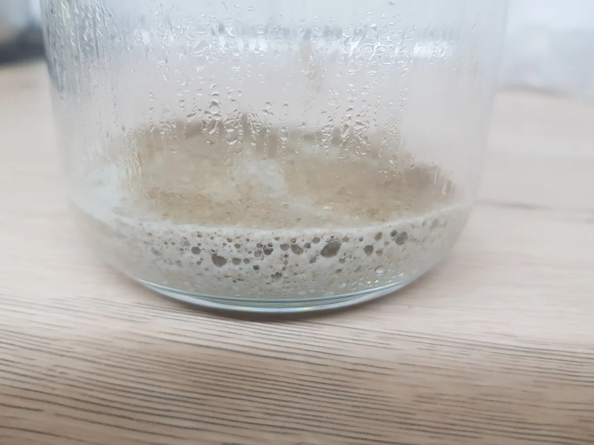 Sauerteig vom Anstellgut zum Brot - Rezept - Bild Nr. 3