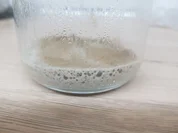 Sauerteig vom Anstellgut zum Brot - Rezept - Bild Nr. 3