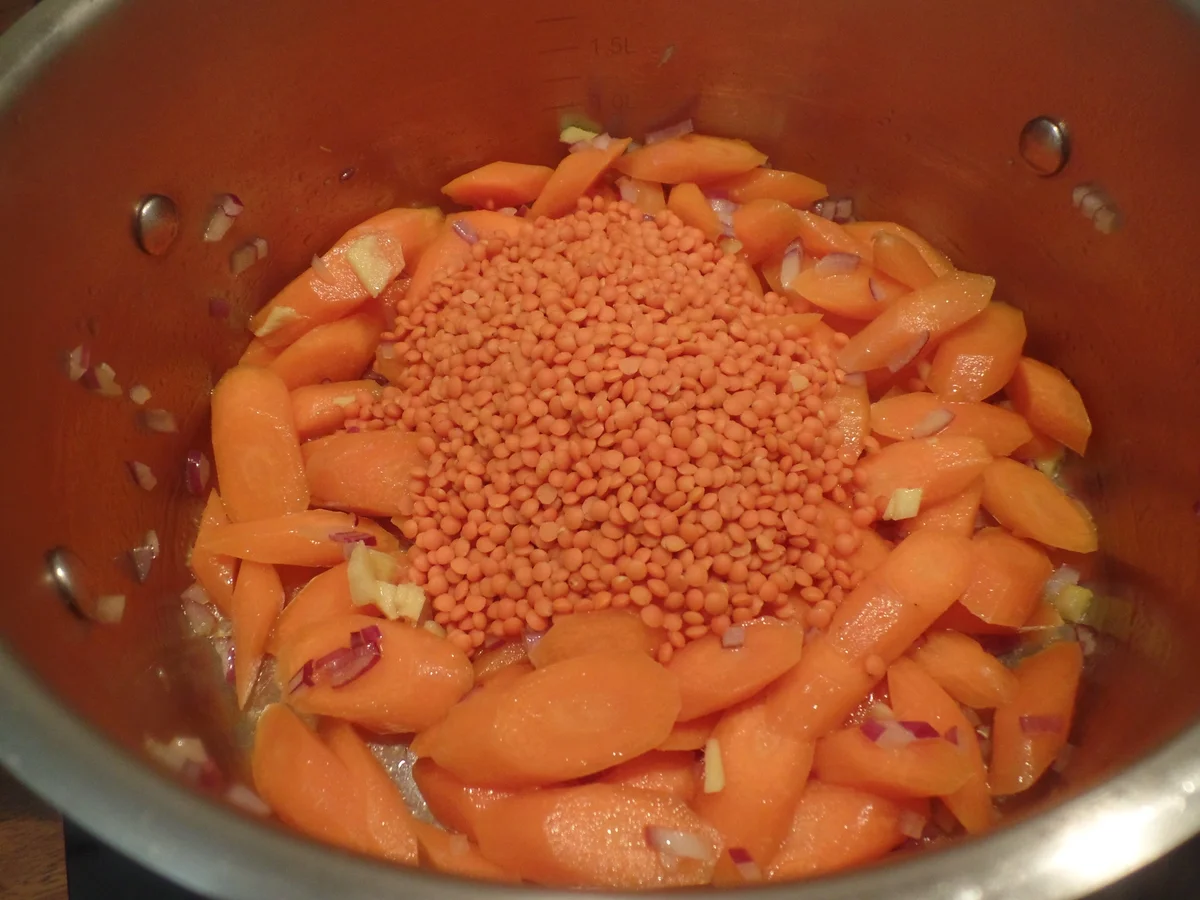 Pikanter Möhren-Linsen-Eintopf mit Birnen-Gurken-Topping - Rezept - Bild Nr. 11446