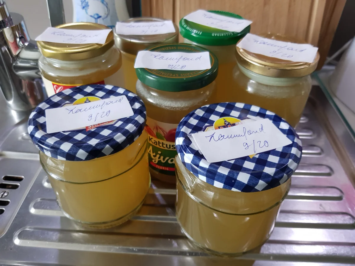 Rezept: Lammrücken mit Knoblauchkruste auf Paprika-Risotto Bild Nr. 11488 Lammrücken mit Knoblauchkruste auf Paprika-Risotto - Rezept - Bild Nr. 11488