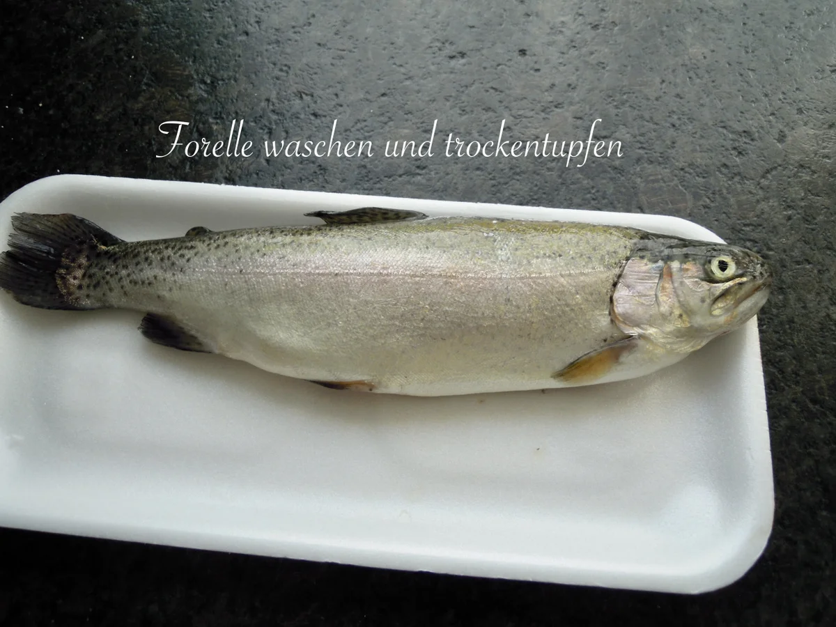 Forelle mit Gemüse - sanft im Bratschlauch gedünstet - Rezept - Bild Nr. 7