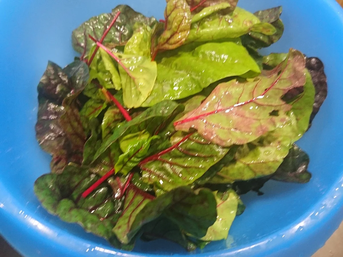 Rezept: Risotto con bietole - Mangoldrisotto Bild Nr. 11 Risotto con bietole - Mangoldrisotto - Rezept - Bild Nr. 11