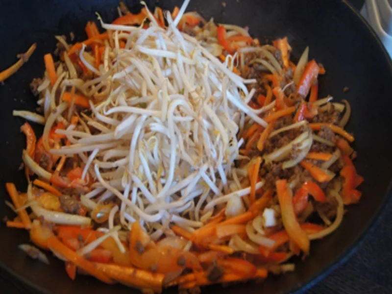 Rezept: Asia-Nudeln mit Hackfleisch Bild Nr. 15 Asia-Nudeln mit Hackfleisch - Rezept - Bild Nr. 15