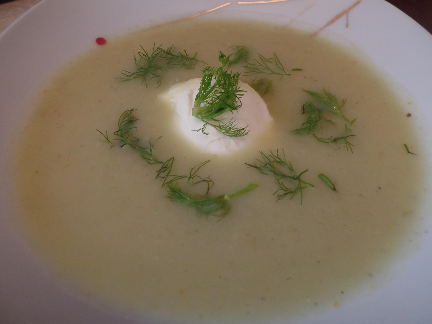 Fenchelsuppe Vegetarisch lecker.... - Rezept mit Bild - kochbar.de