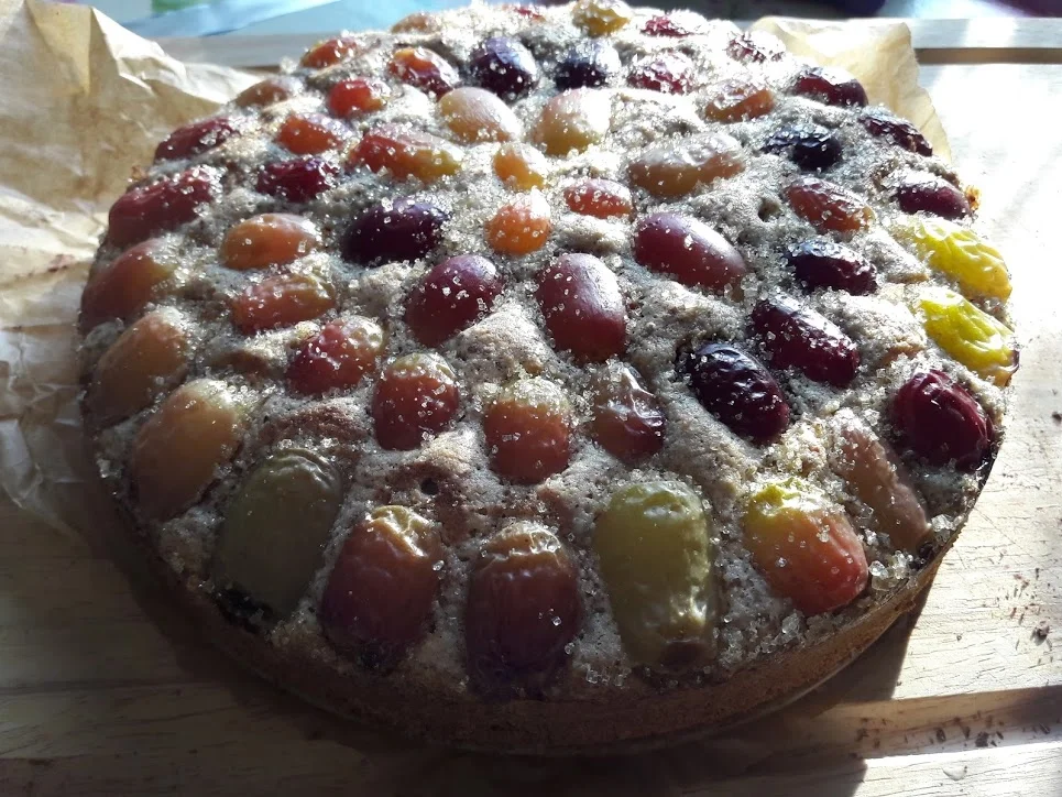 Rezept: Trauben-Mandel-Kuchen Bild Nr. 10 Trauben-Mandel-Kuchen - Rezept - Bild Nr. 10