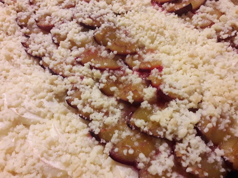 Rezept: Hefekuchen mit Pflaumen und Äpfeln Bild Nr. 16 Hefekuchen mit Pflaumen und Äpfeln - Rezept - Bild Nr. 16