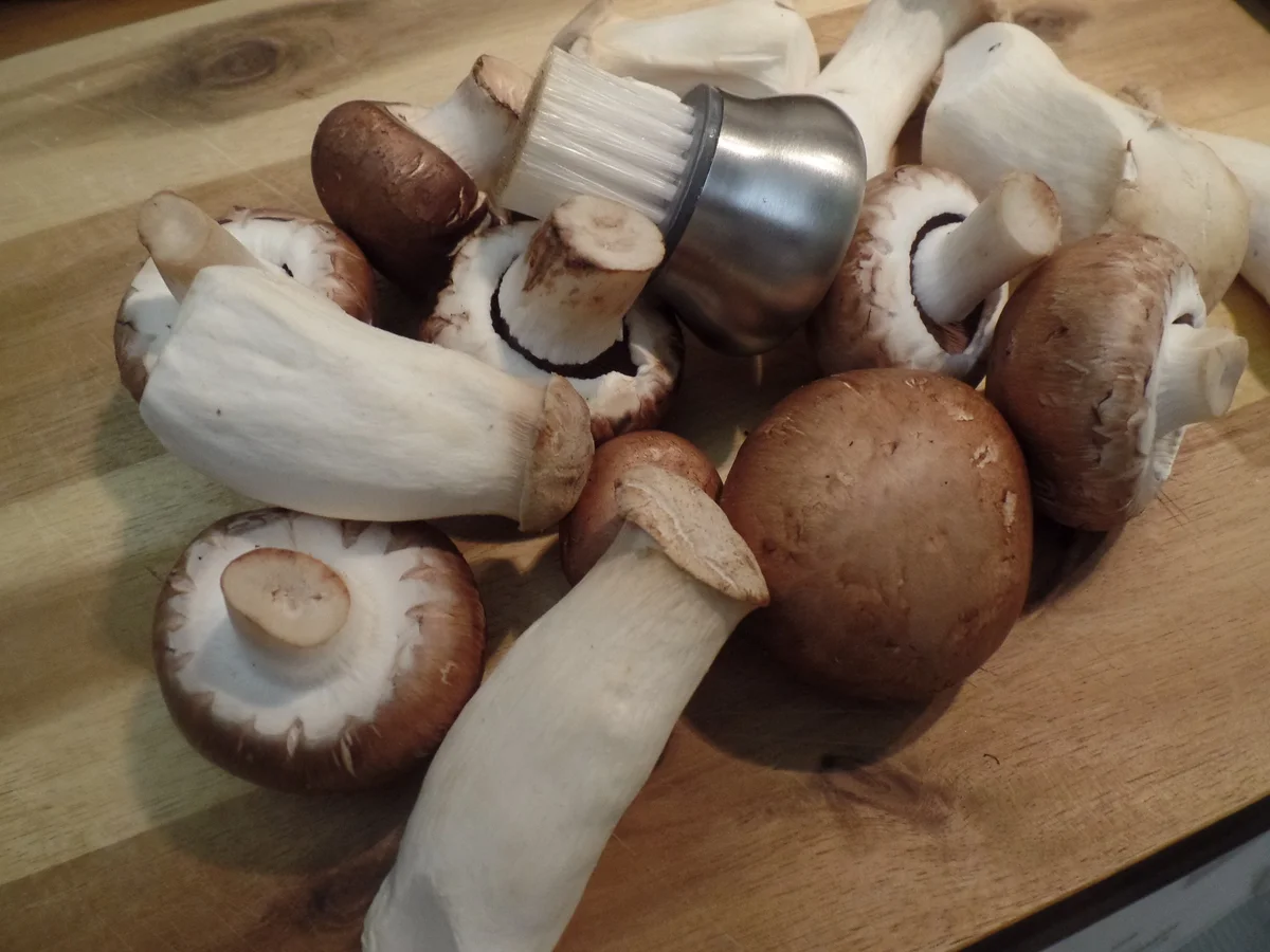 Rezept: Nuss-Polenta mit gemischten Pilzen Bild Nr. 11631 Nuss-Polenta mit gemischten Pilzen - Rezept - Bild Nr. 11631