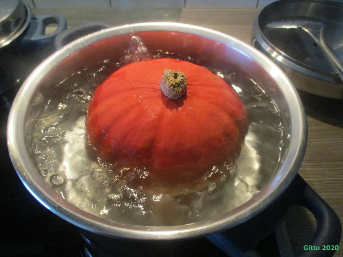 Kürbis - Orangen - Suppe - Rezept - Bild Nr. 11646