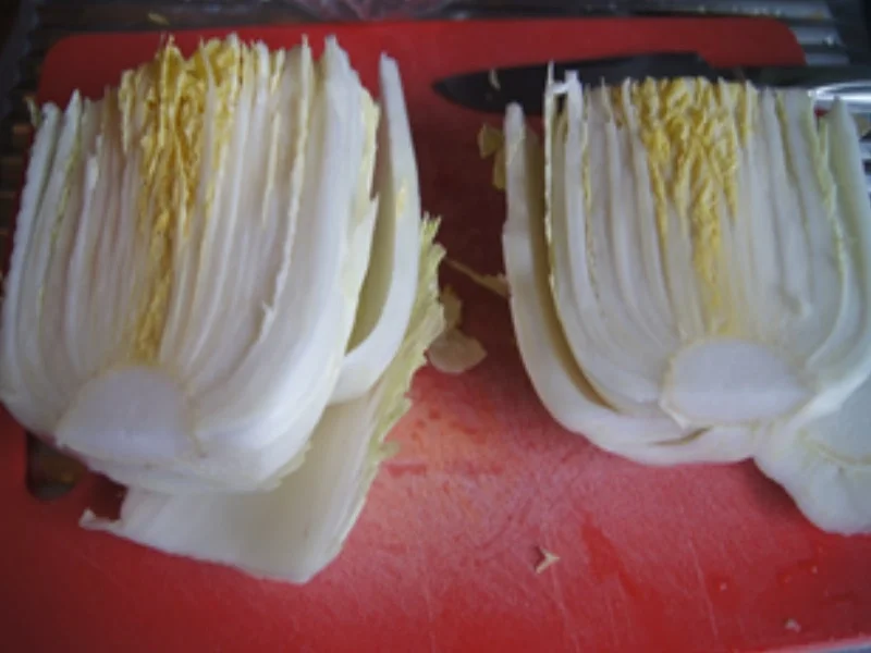 Chili-con-Carne-Chinakohl-Auflauf - Rezept - Bild Nr. 14