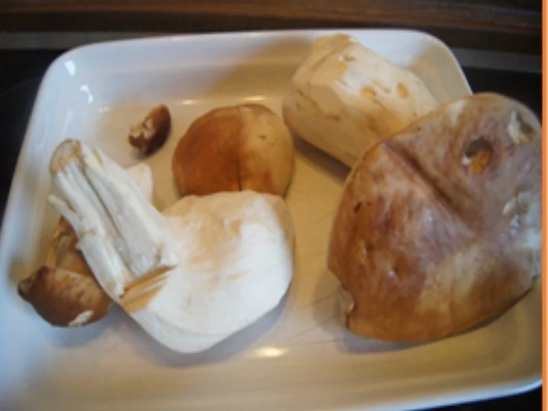 Rezept: Kürbispuffer mit Steinpilzen Bild Nr. 13 Kürbispuffer mit Steinpilzen - Rezept - Bild Nr. 13