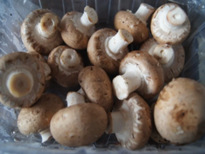 Hüftsteak mit Zwiebelhaube, Rahmchampignons und Mandelbällchen - Rezept - Bild Nr. 14