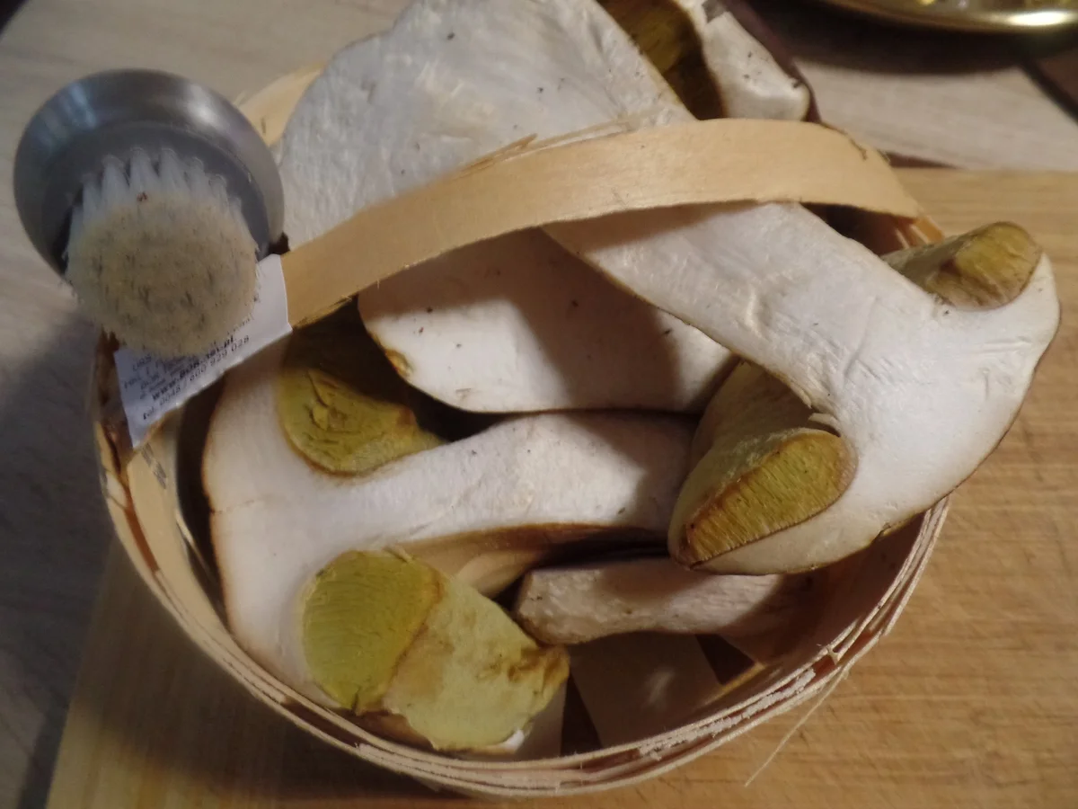 Steinpilz-Suppe - Rezept - Bild Nr. 11666