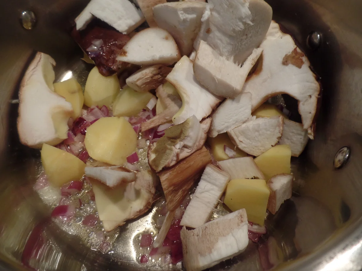 Steinpilz-Suppe - Rezept - Bild Nr. 11668