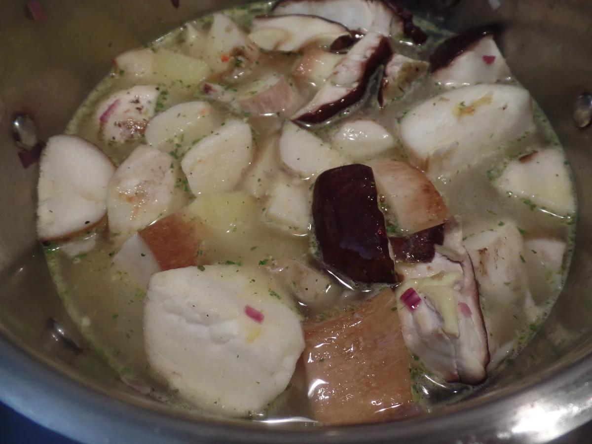 Steinpilz-Suppe - Rezept - Bild Nr. 11670