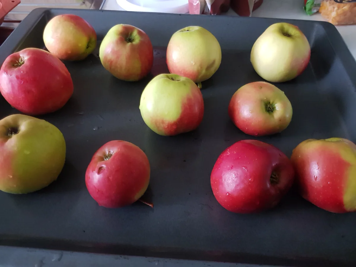 Bratapfelpudding mit Apfel-Schnee und karamellisierten Apfel-Perlen - Rezept - Bild Nr. 11676