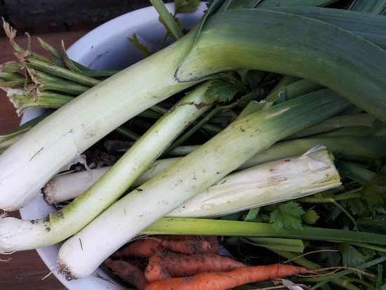 Gemüse-Würz-Paste - Rezept - Bild Nr. 4