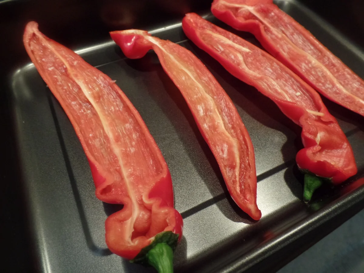 Gefüllte Spitzpaprika Orientalisch - Rezept - Bild Nr. 11702