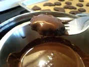 Schokosterne - Rezept