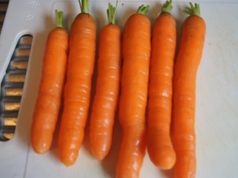 Schlemmerfilet mit Honigbundmöhren und herzhaften Kartoffelstampf - Rezept - Bild Nr. 8