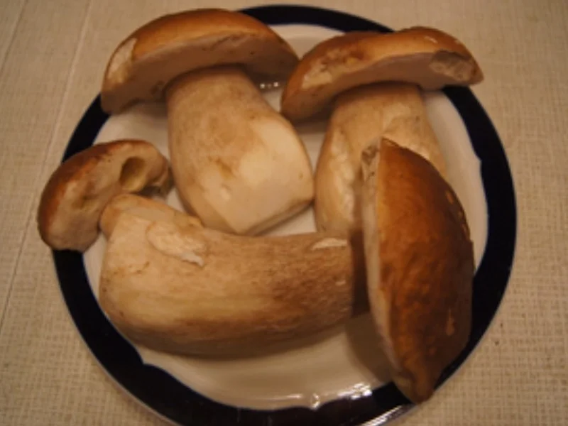 Pasta mit frischen Steinpilzen - Rezept - Bild Nr. 3