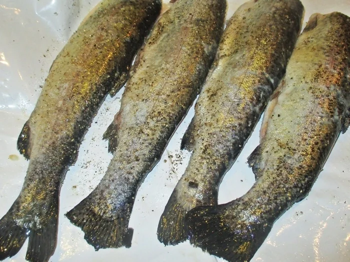 Forelle Müllerin - Rezept - Bild Nr. 5