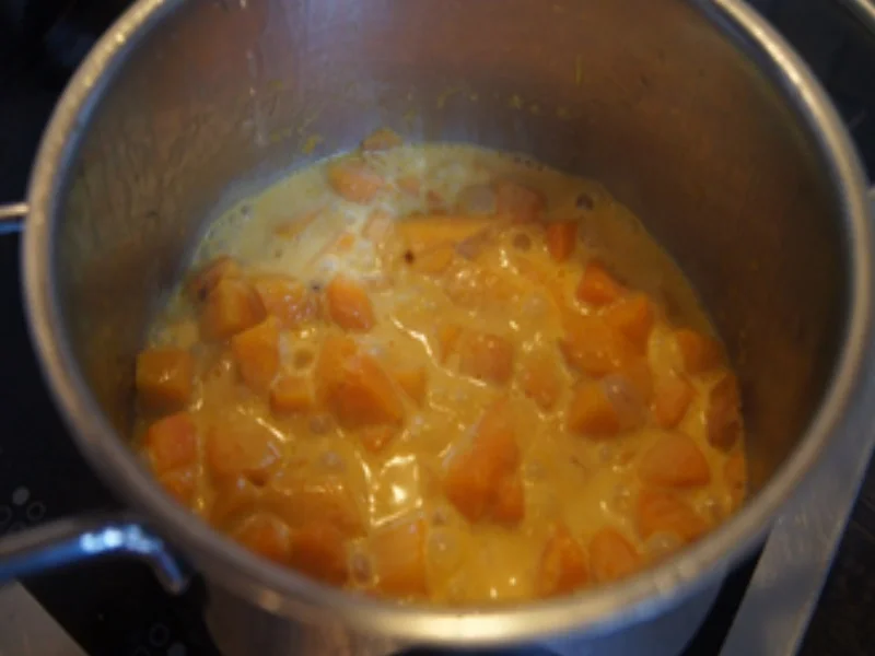 Schweinefiletschnitzelchen mit gebratenen Steinpilzen und Kürbispüree - Rezept - Bild Nr. 22