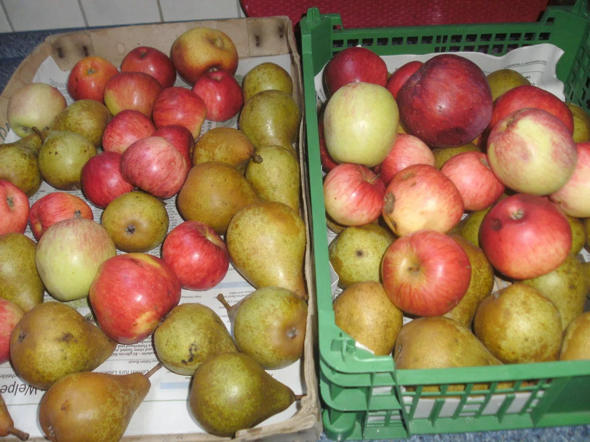 Rezept: Apfel-Birnenkompott Bild Nr. 3 Apfel-Birnenkompott - Rezept - Bild Nr. 3