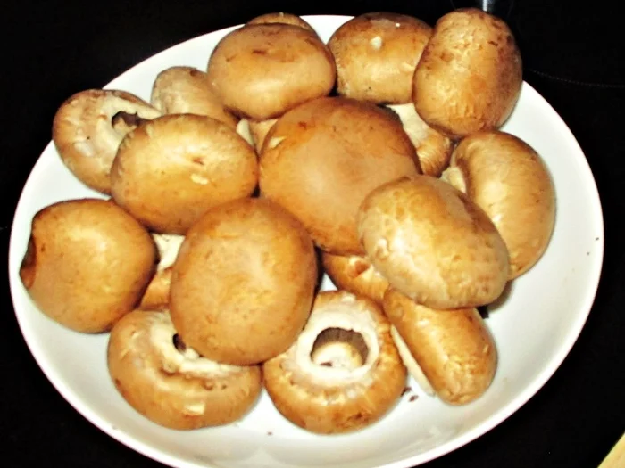 Perlhuhn in Champignonsoße - Rezept - Bild Nr. 6